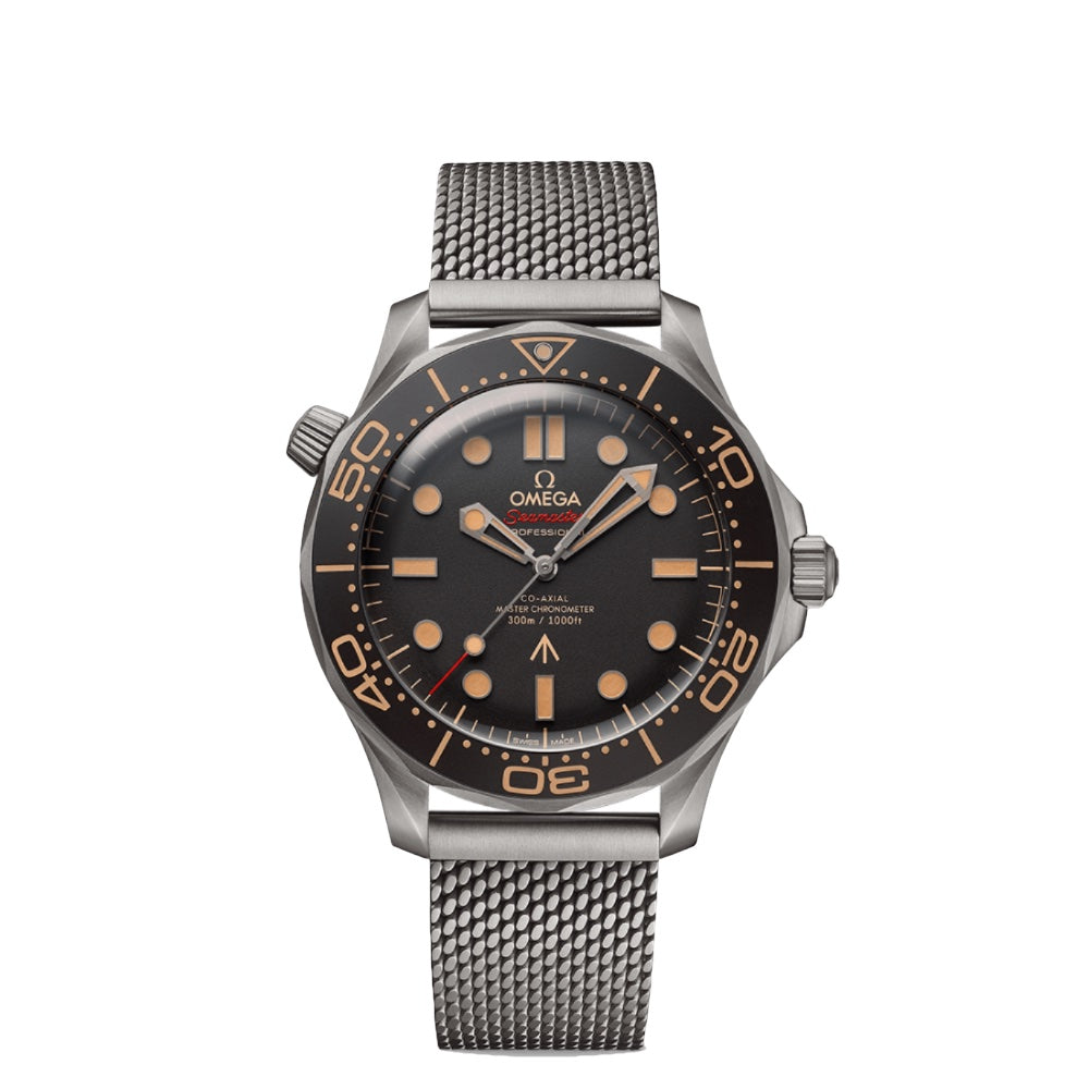 omega seamaster 21090422001001